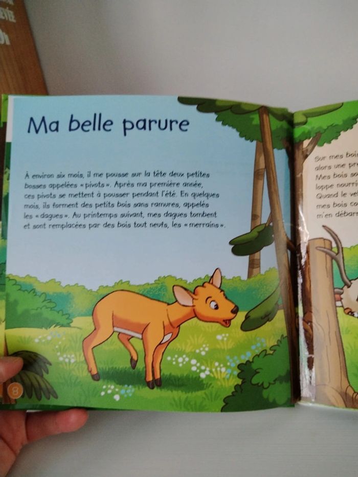 Altaya Les animaux de la forêt n°1 Le cerf - photo numéro 9
