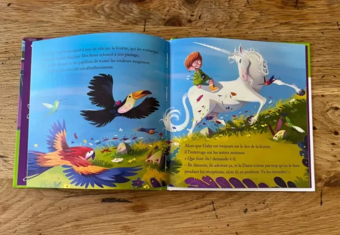 Livre La Dame à la licorne - photo numéro 3