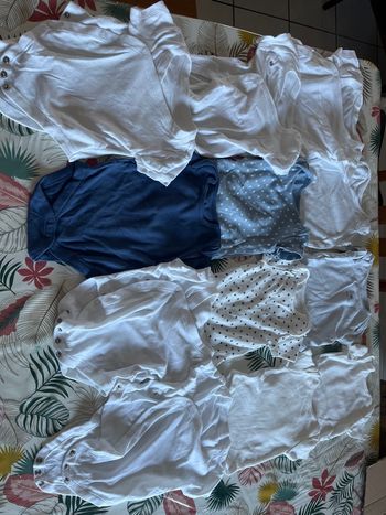 Lot de 12 bodies printemps été  garçon taille 3/6 mois ( 68cm)