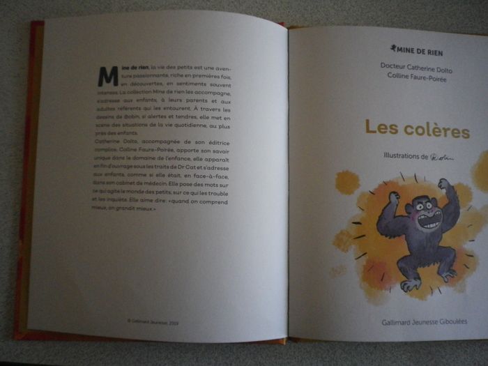 LES COLERES - photo numéro 3
