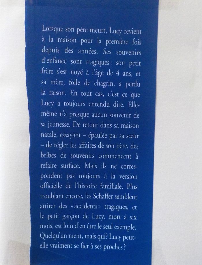 L'ETE ASSASSIN de Liz RIGBEY Ed. France Loisirs - photo numéro 2