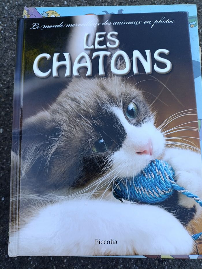 Différents livres (lapins, chiens, furets, chatons, poules, gorilles) - photo numéro 4