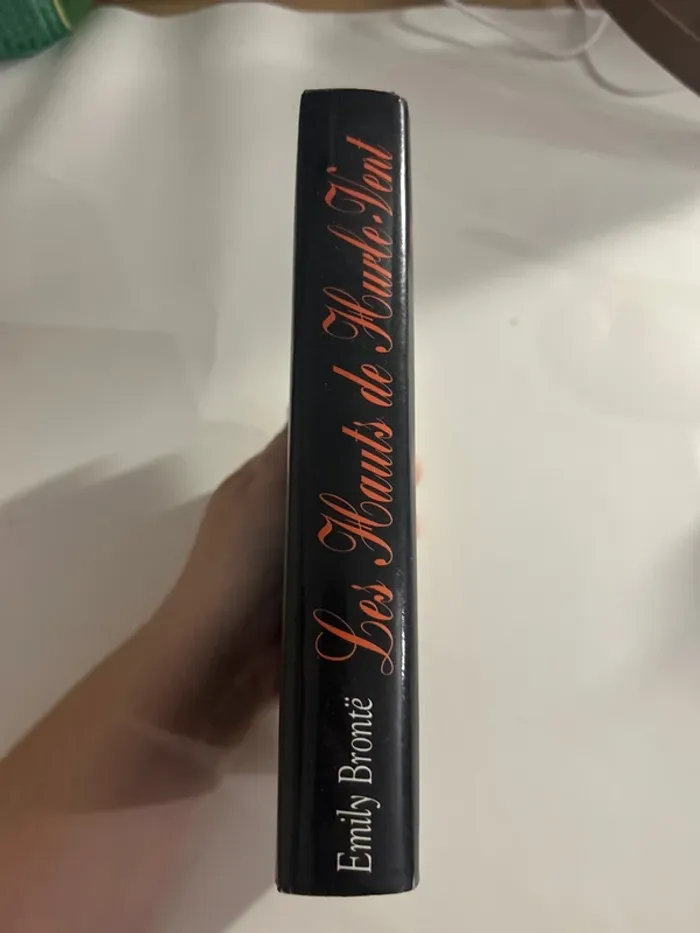 Les hauts de hurlevents - photo numéro 3