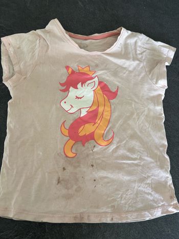 T shirt licorne