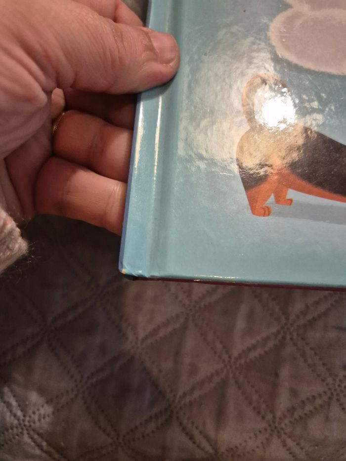 Livre enfant - photo numéro 4