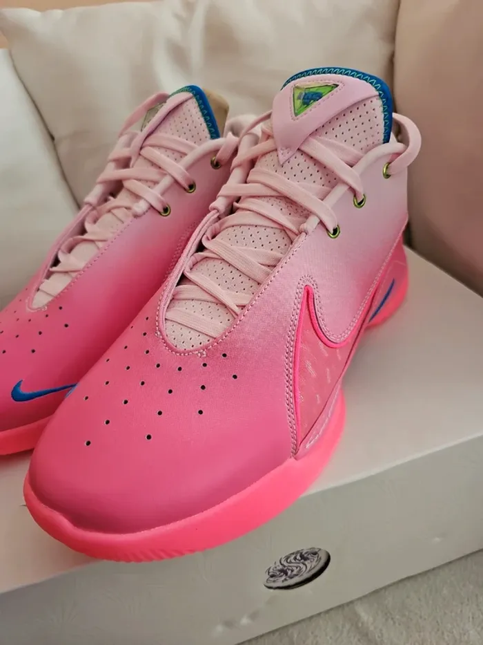 🔥Nike Lebron XXII "I Promise" T.45🏀