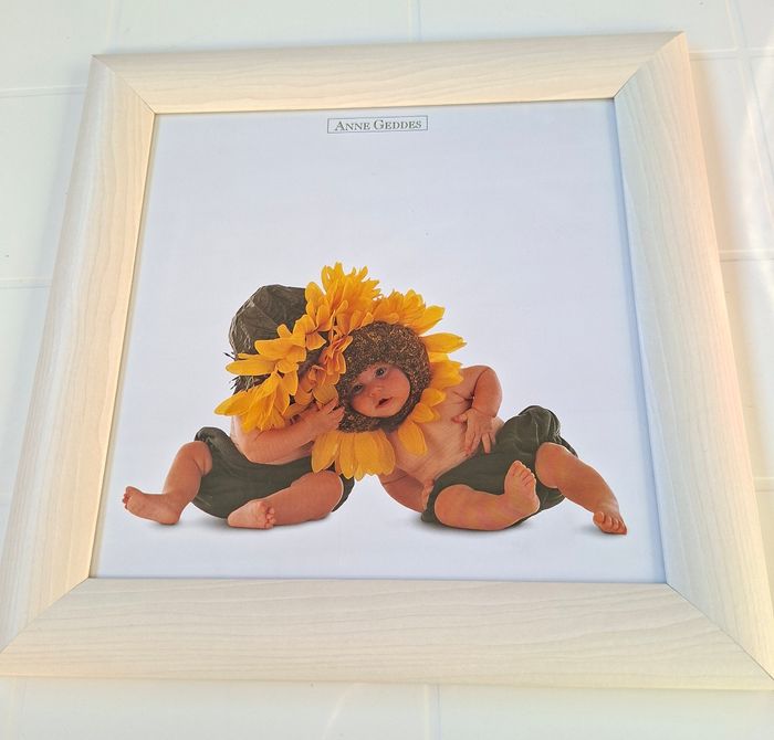 Lot Anne Geddes - photo numéro 9