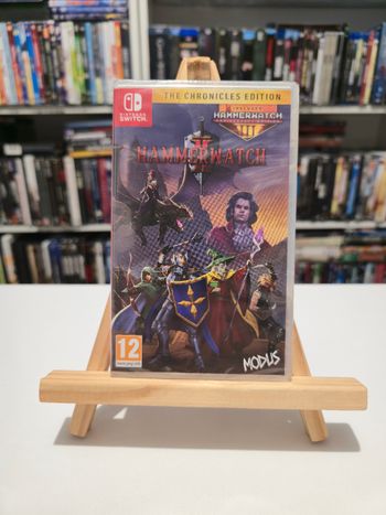 Jeu Switch Hammerwatch II