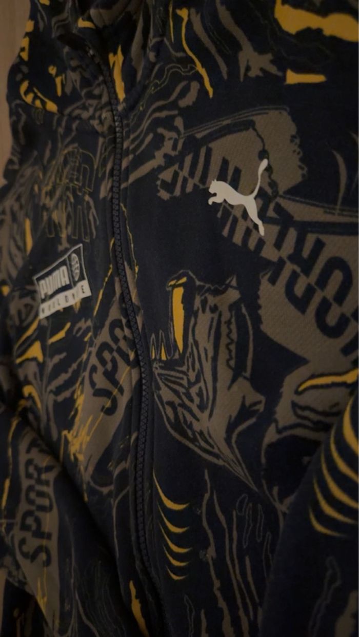 Sweat à capuche Puma - photo numéro 2