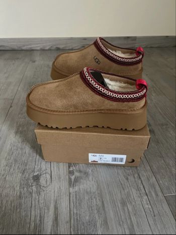 Ugg tazz