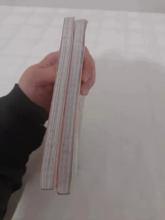 Lot de 2 livres melowy à partir de 7ans - photo numéro 4