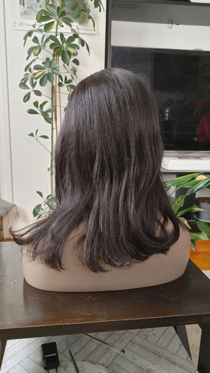 Perruque cheveux humains - photo numéro 2
