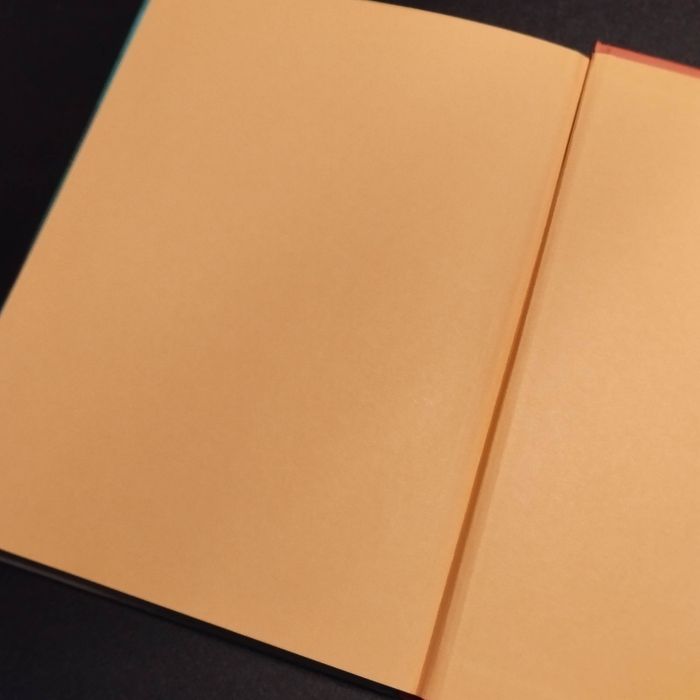 Livre Disney Rox et Rouky - photo numéro 2