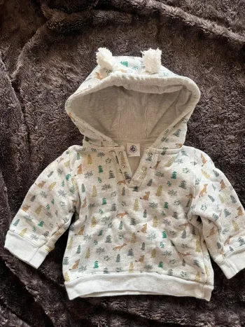 Sweat à capuche petit bateau 12 mois