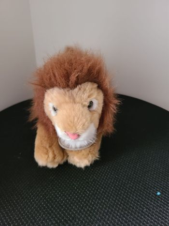 doudou lion