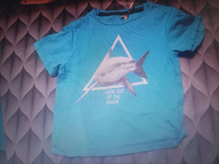 T shirt orchestra requin