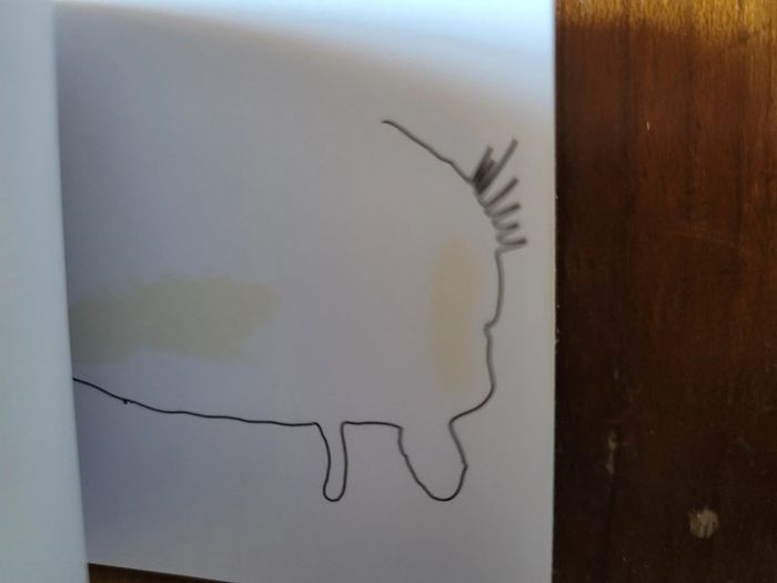 Flipbook Chaviré - photo numéro 4