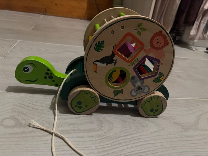 Tortue - photo numéro 3