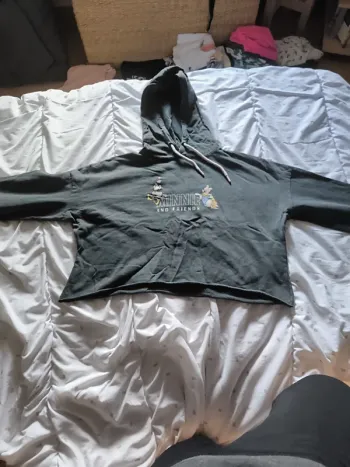 Pull Disney Minnie