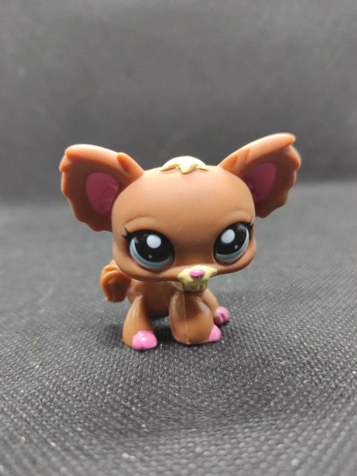 Littlest Petshop LPS dog chien papillon 1623 chihuahua hasbro #geektradelpschien