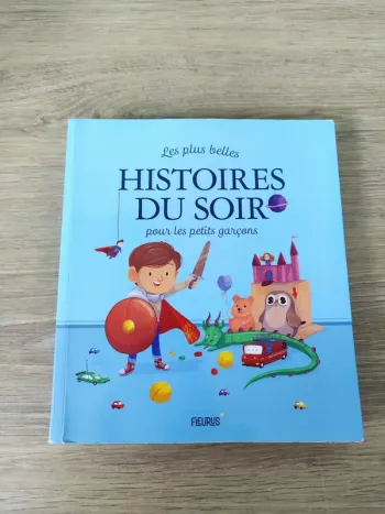 Les plus belles histoires du soir pour les petits garcons Fleurus 9782215131892