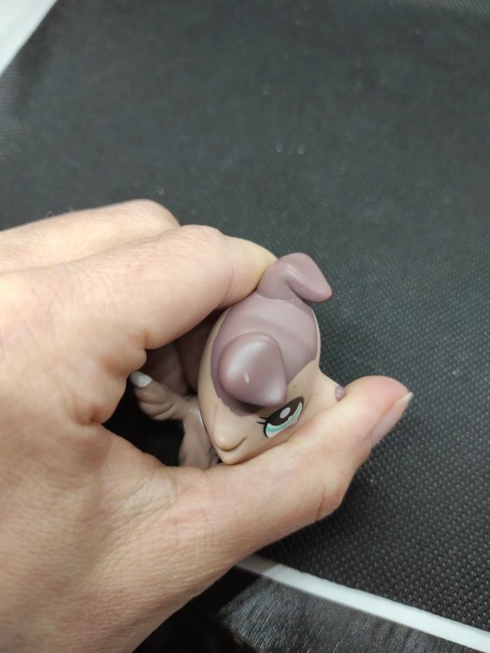 Littlest Petshop LPS dog chien colley collie 1330 hasbro #geektradelpschien - photo numéro 10