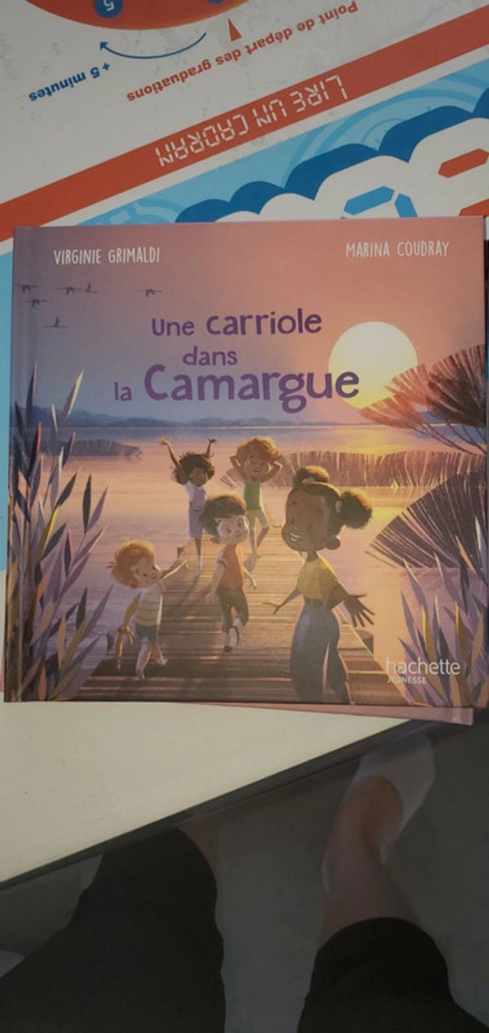 Livre une carriole dans la camargue