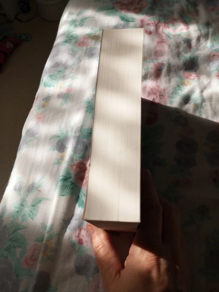 Reine des batailles - photo numéro 4