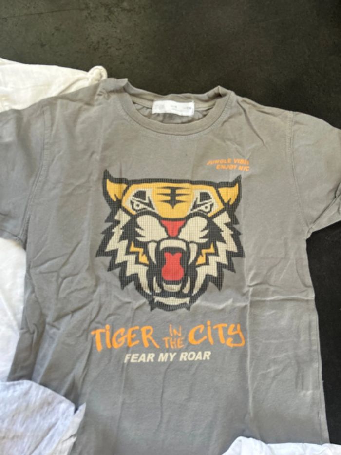 Lot 5 t-shirt garçon H&M et Zara - photo numéro 5