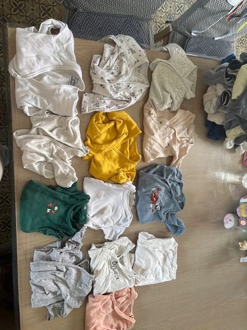 Lot de 14 bodies 9 mois