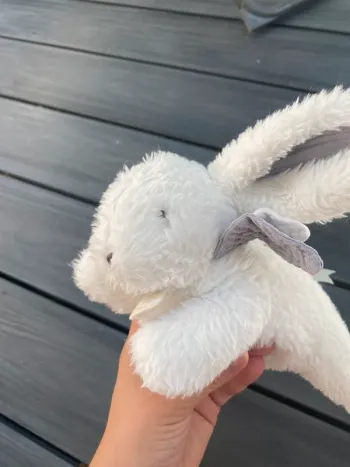 lapin