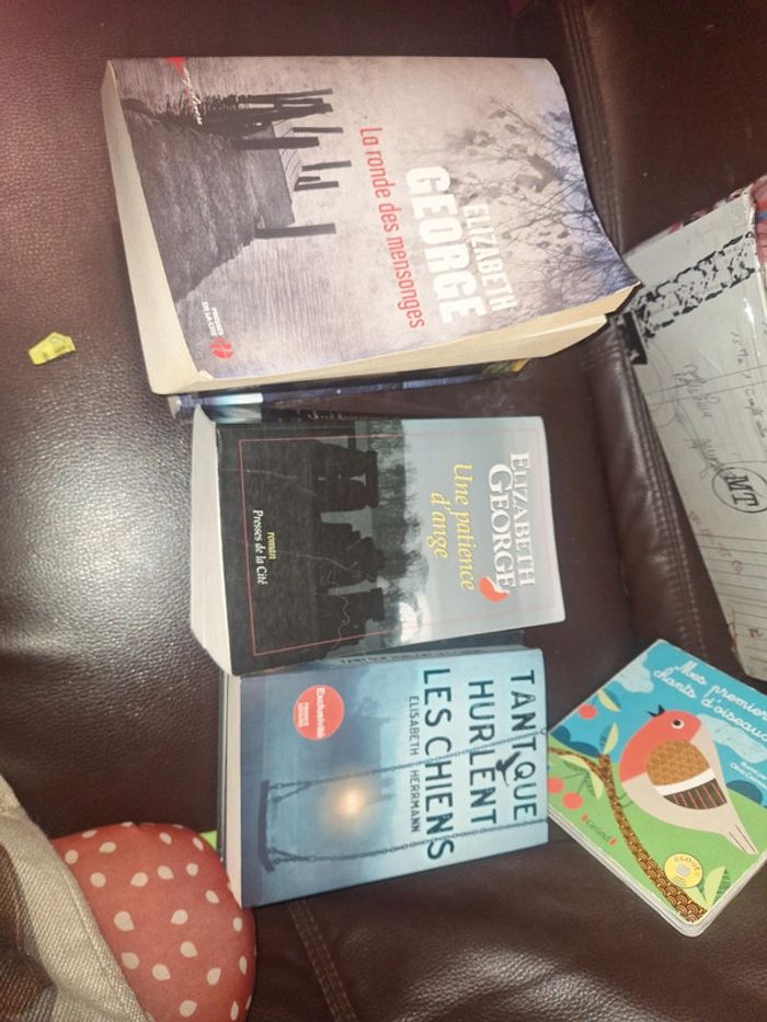 Très gros lot de livre pas chère - photo numéro 7