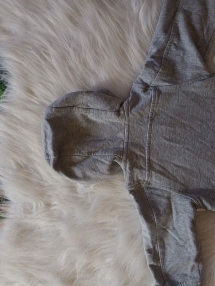Gilet zippé a capuche 9mois - photo numéro 10