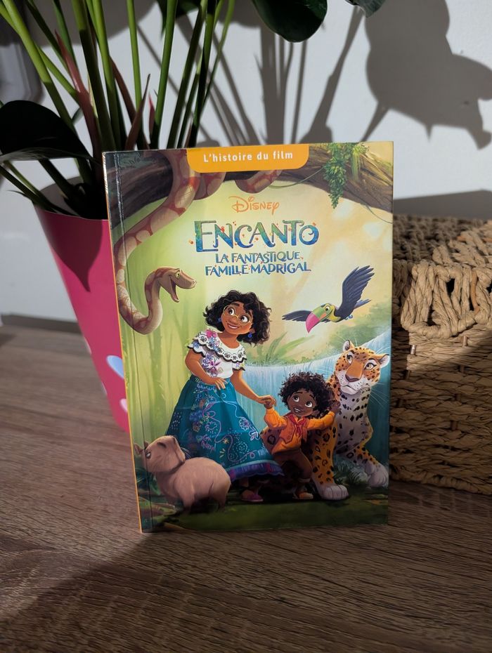 Encanto la fantastique famille madrigal - photo numéro 1