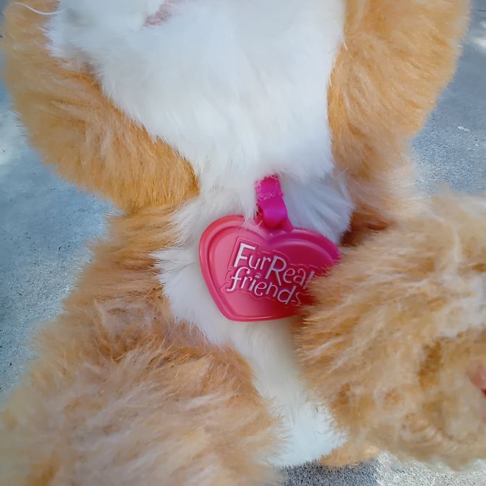 FurReal - photo numéro 3