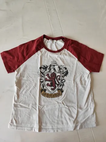 Tee shirt harry potter