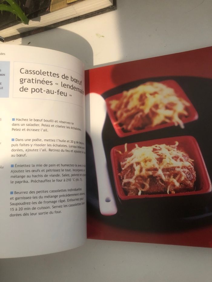 Cocottes et cassolettes - photo numéro 3