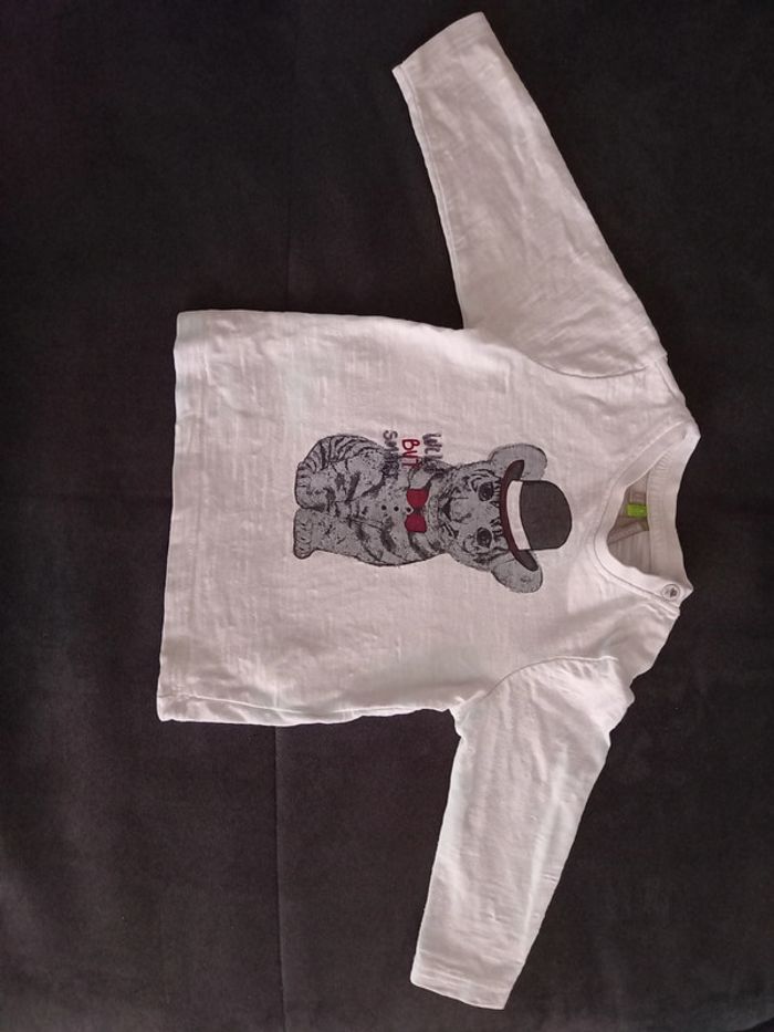 Pull/ t-shirt manches longues 9 mois