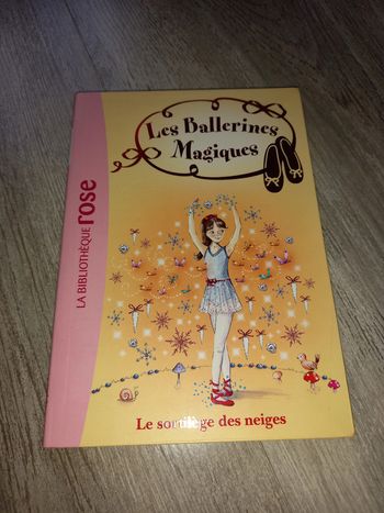 livre les ballerines magiques : le sortilège des neiges, tome 2