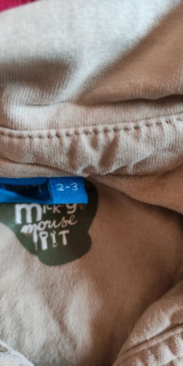 Lot 2 hauts 2/3 ans - photo numéro 6