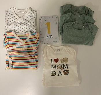 Lot 6 bodies