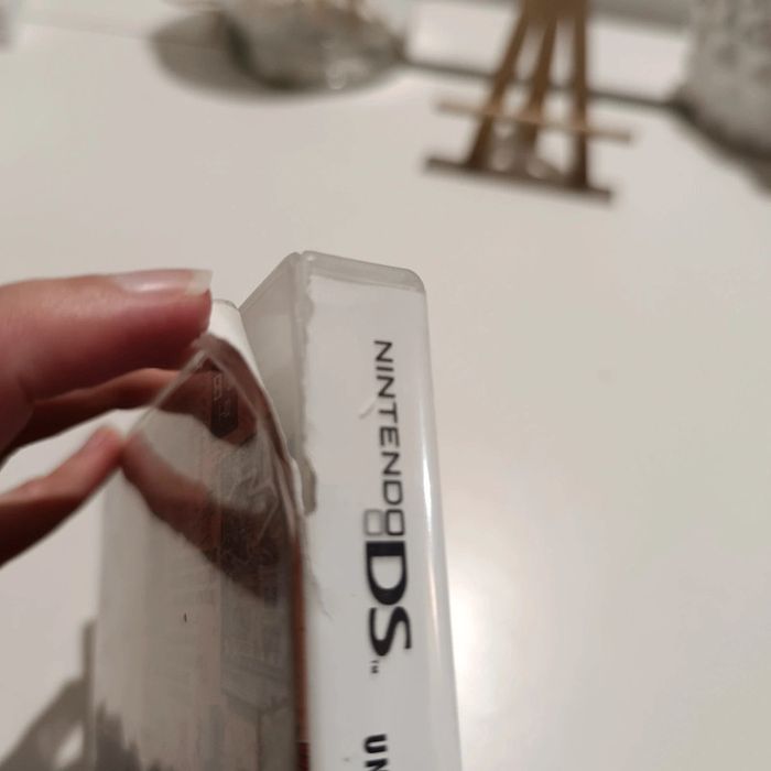 DS jeu tous à l'ouest - photo numéro 4