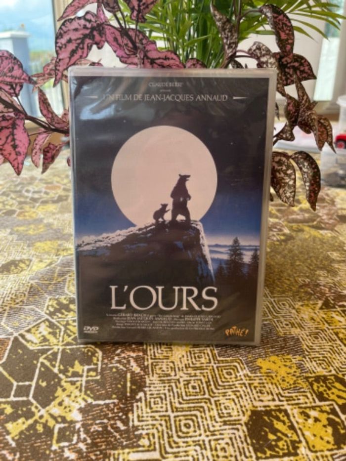 DVD L’ours