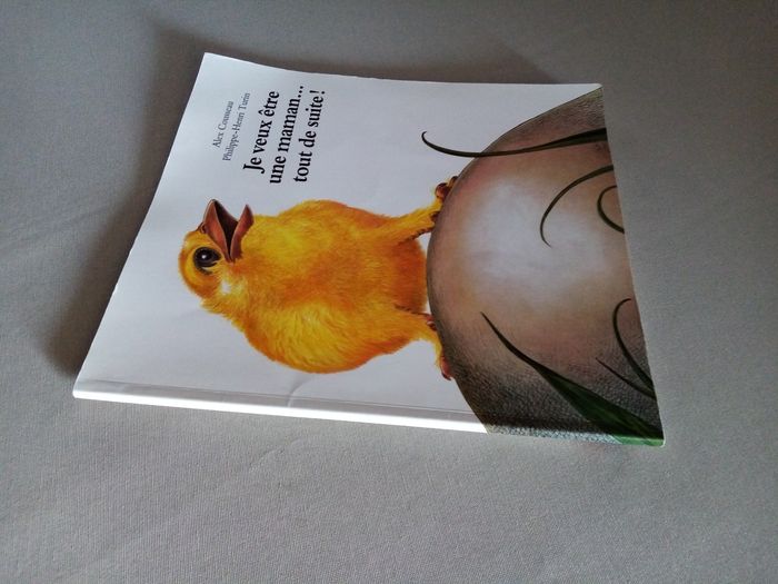 Livre pour enfant : l'école des loisirs - photo numéro 3