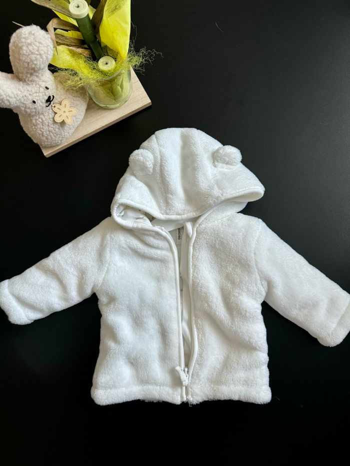 Ensemble orchestra - photo numéro 3