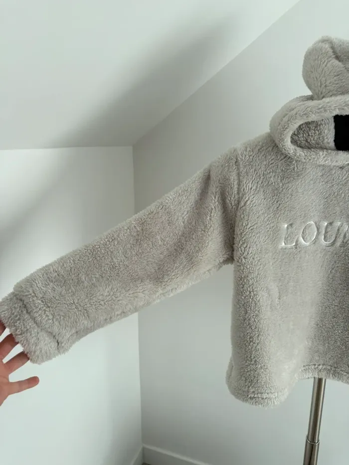 Pull sweat moumoute à capuche Lounge XS beige - photo numéro 6