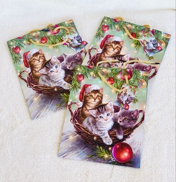 Lot de 3 petites pochettes 3 chats Noel Vitrine Magique