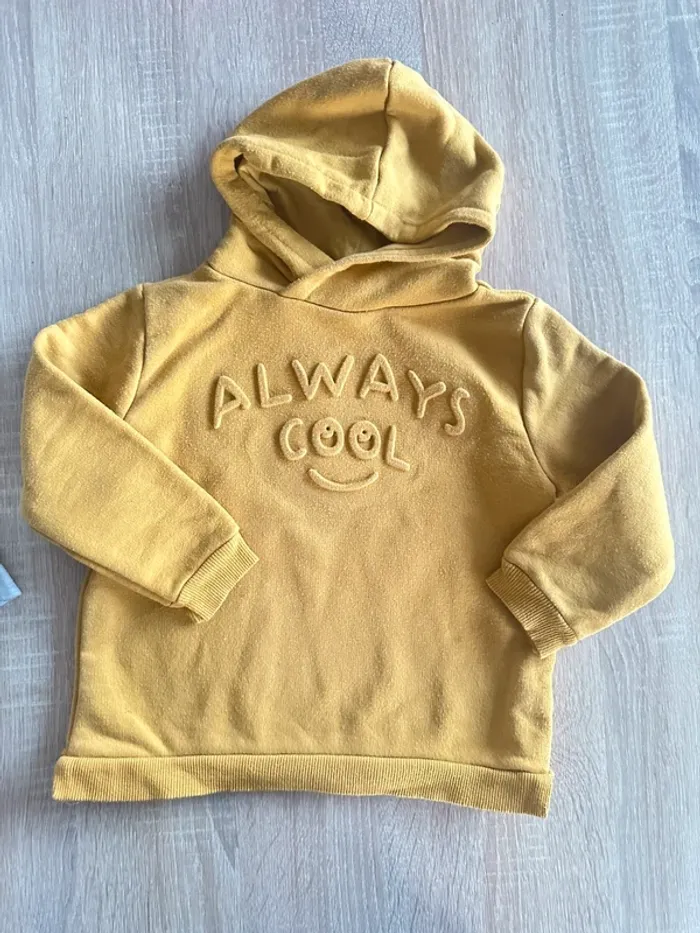 Pulls Zara - photo numéro 3