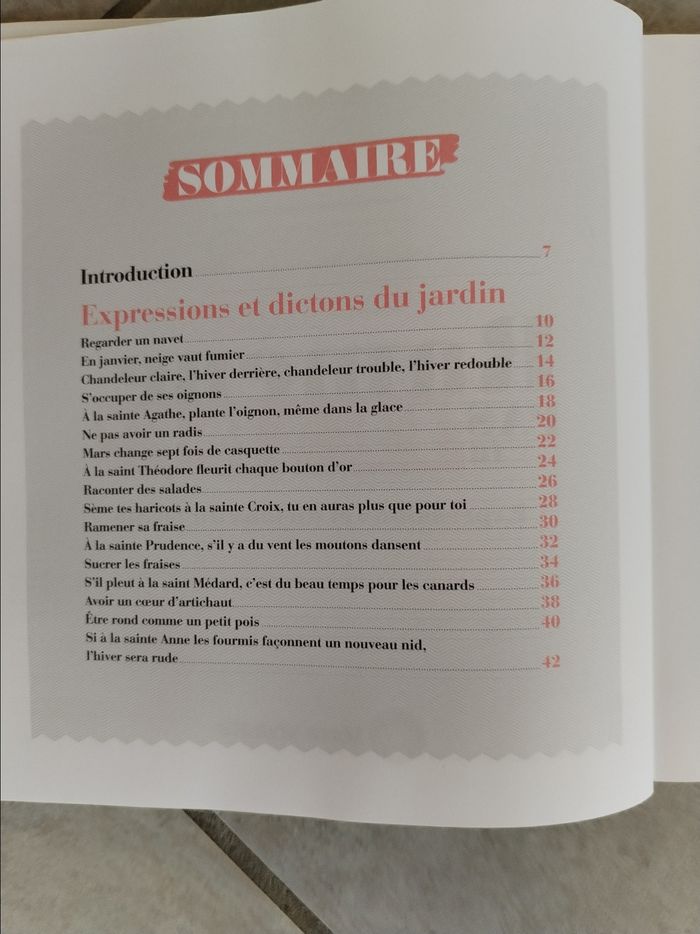 Livre Ramène pas ta fraise - photo numéro 3