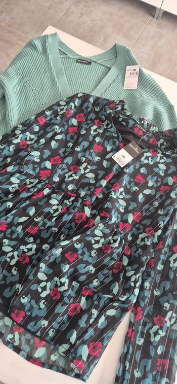 Lot gilet et blouse in extenso